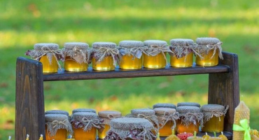 Jak vybrat správný přírodní a kvalitní med - tipy